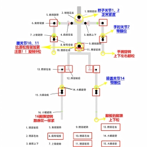 盘古半松.jpg